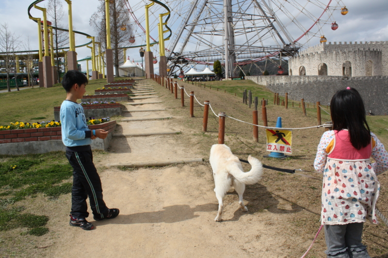 f:id:reeyan:20100410143251j:image f:id:reeyan:20100410143251j:image
