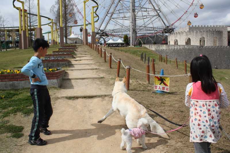 f:id:reeyan:20100410143253j:image f:id:reeyan:20100410143253j:image