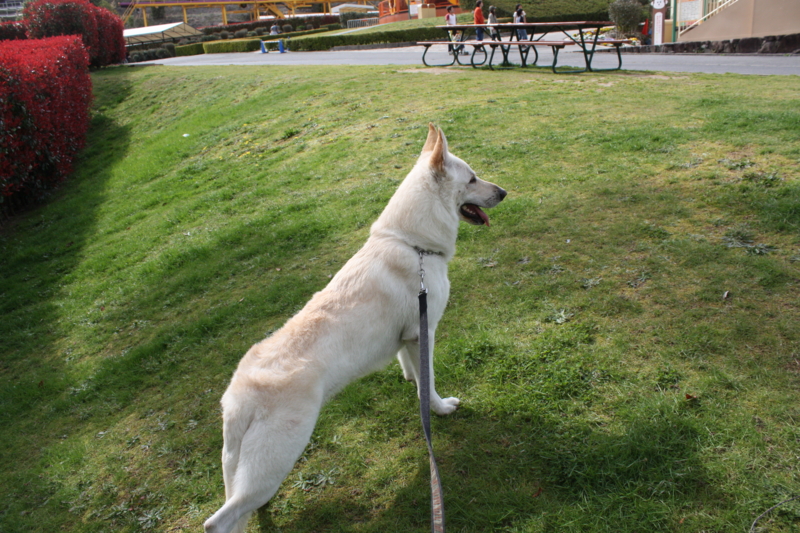 f:id:reeyan:20100410145244j:image f:id:reeyan:20100410145244j:image
