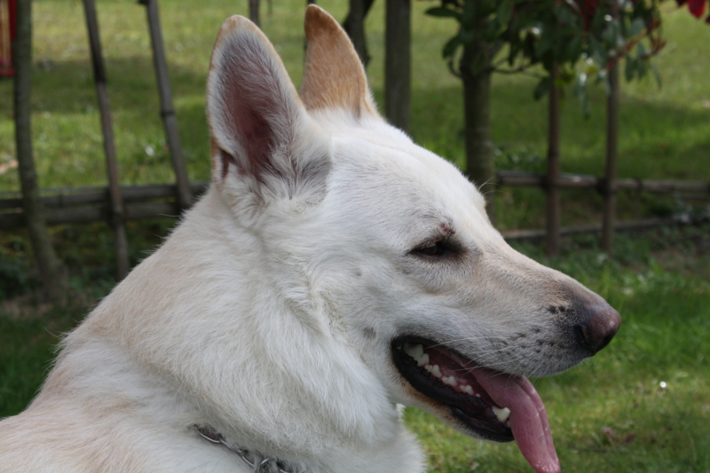 f:id:reeyan:20100410150000j:image f:id:reeyan:20100410150000j:image