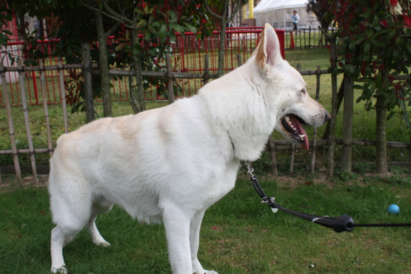 f:id:reeyan:20100410151501j:image f:id:reeyan:20100410151501j:image