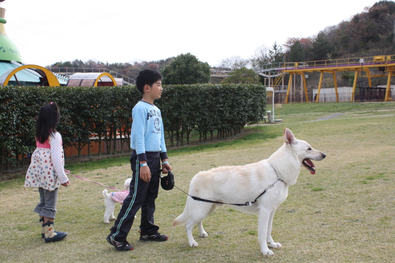 f:id:reeyan:20100410152351j:image f:id:reeyan:20100410152351j:image