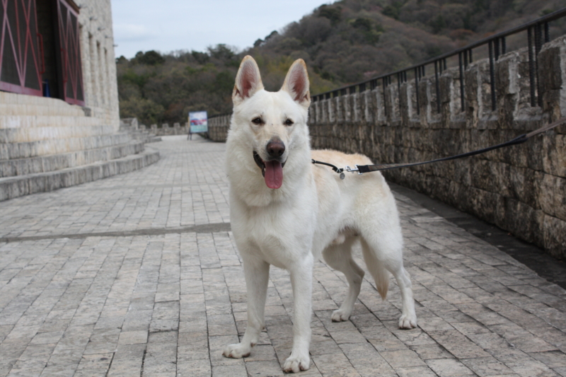 f:id:reeyan:20100410155155j:image f:id:reeyan:20100410155155j:image