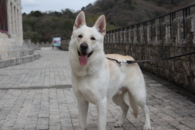 f:id:reeyan:20100410155158j:image f:id:reeyan:20100410155158j:image
