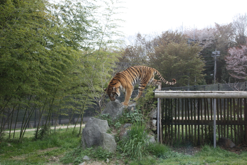 f:id:reeyan:20100410164120j:image f:id:reeyan:20100410164120j:image