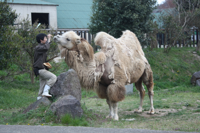 f:id:reeyan:20100410165441j:image f:id:reeyan:20100410165441j:image