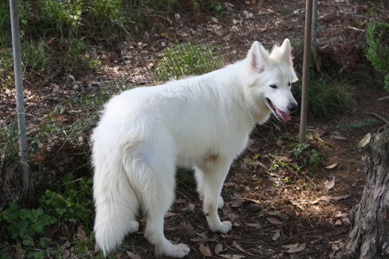 f:id:reeyan:20100501151244j:image