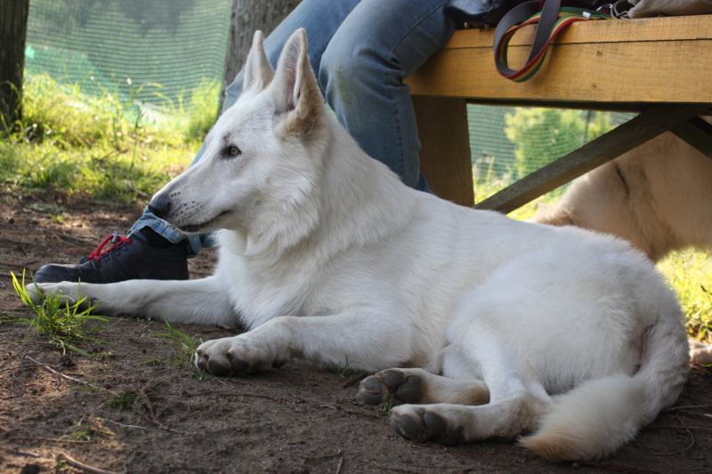 f:id:reeyan:20100501161254j:image