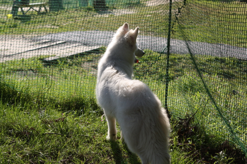 f:id:reeyan:20100501161331j:image