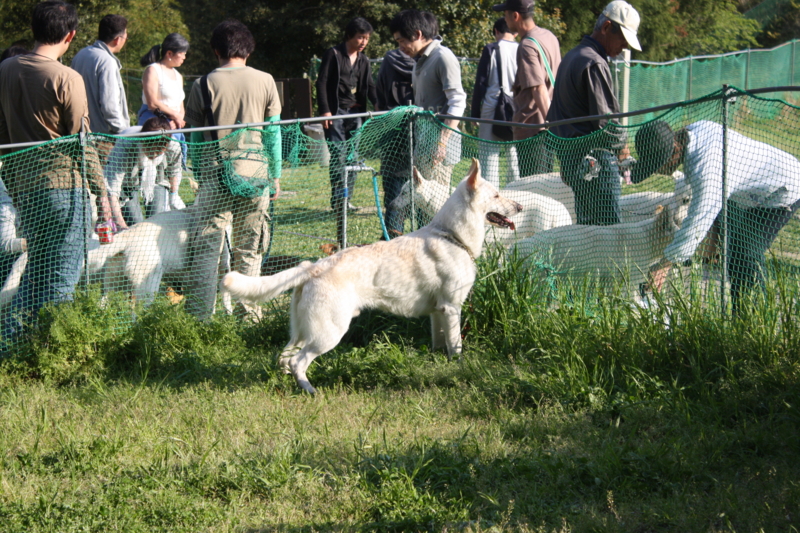 f:id:reeyan:20100501161547j:image