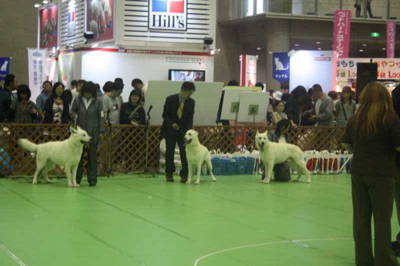 f:id:reeyan:20100502114910j:image f:id:reeyan:20100502114910j:image