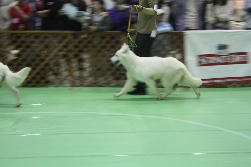f:id:reeyan:20100502122451j:image f:id:reeyan:20100502122451j:image