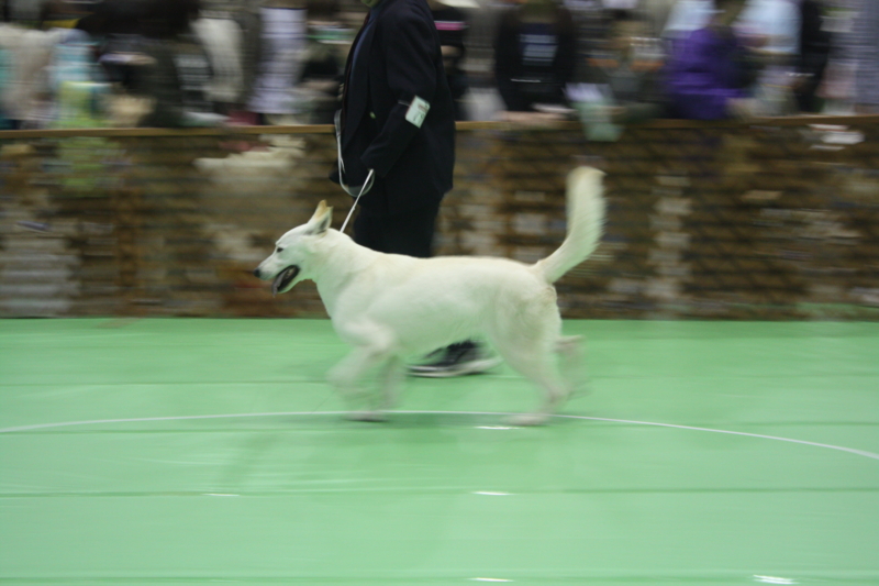 f:id:reeyan:20100502123811j:image f:id:reeyan:20100502123811j:image