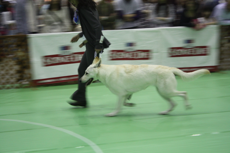 f:id:reeyan:20100502123847j:image f:id:reeyan:20100502123847j:image
