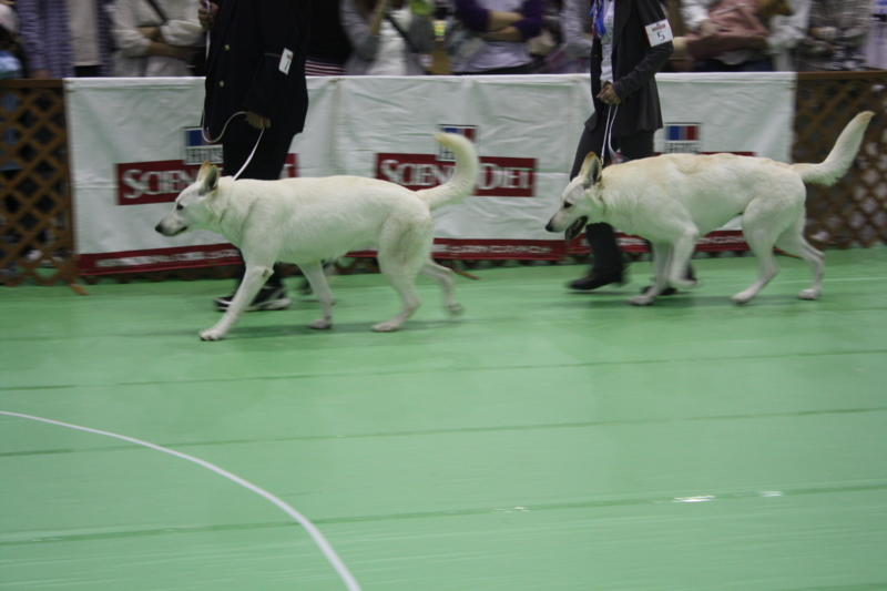 f:id:reeyan:20100502124332j:image f:id:reeyan:20100502124332j:image