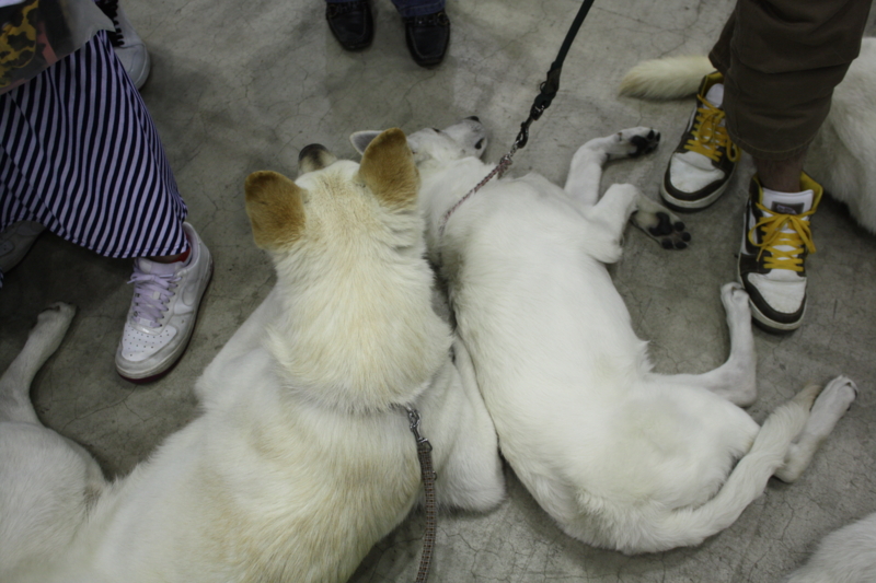 f:id:reeyan:20100502124823j:image f:id:reeyan:20100502124823j:image