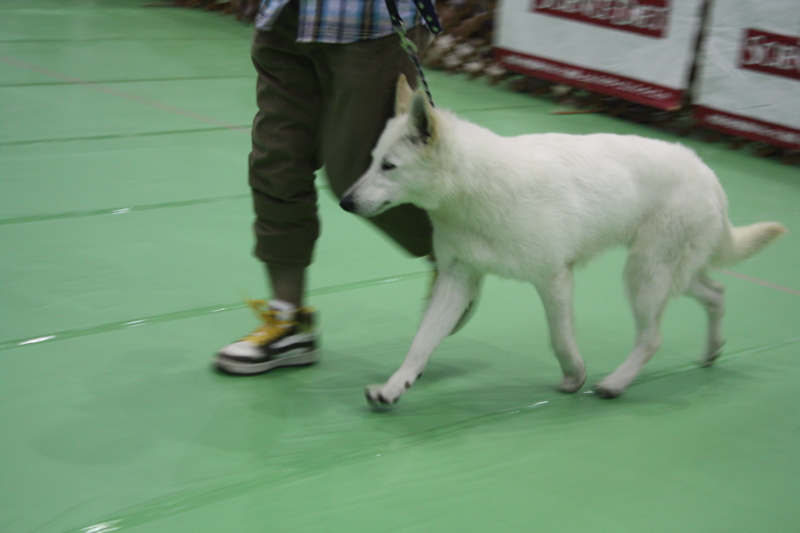 f:id:reeyan:20100502130054j:image f:id:reeyan:20100502130054j:image