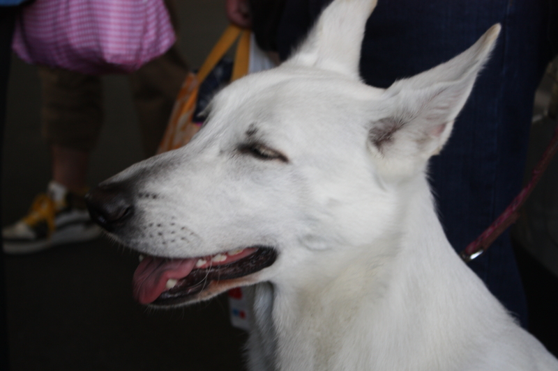 f:id:reeyan:20100502145003j:image f:id:reeyan:20100502145003j:image