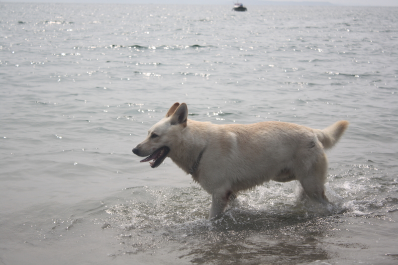 f:id:reeyan:20100619150912j:image f:id:reeyan:20100619150912j:image