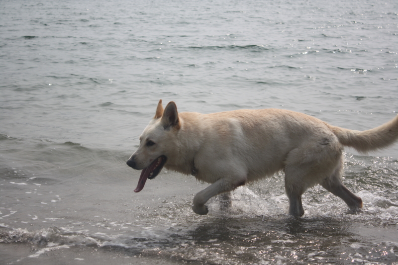 f:id:reeyan:20100619150914j:image f:id:reeyan:20100619150914j:image