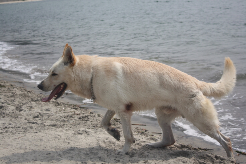 f:id:reeyan:20100619150916j:image f:id:reeyan:20100619150916j:image