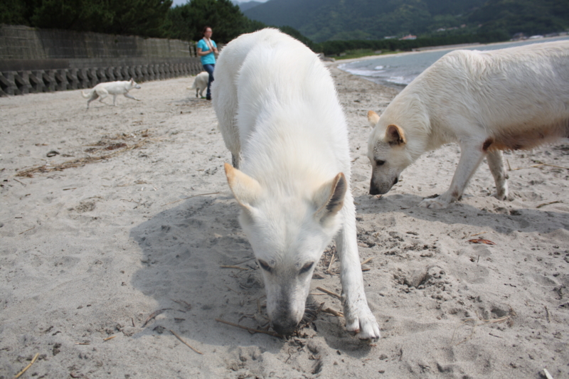 f:id:reeyan:20100619150924j:image f:id:reeyan:20100619150924j:image