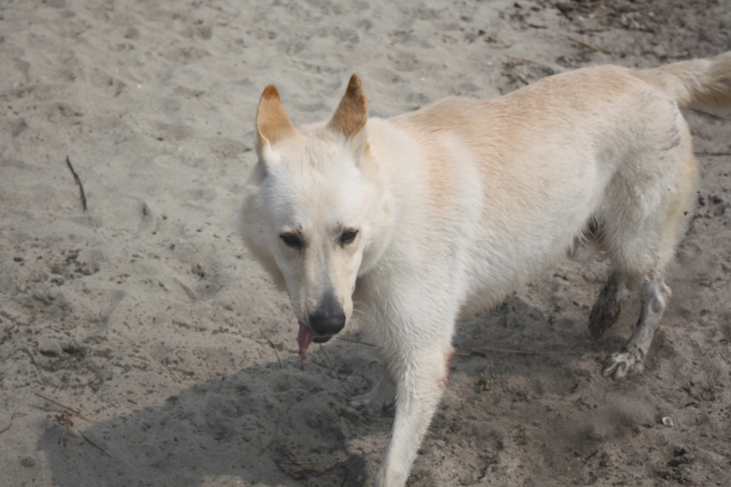 f:id:reeyan:20100619150944j:image f:id:reeyan:20100619150944j:image
