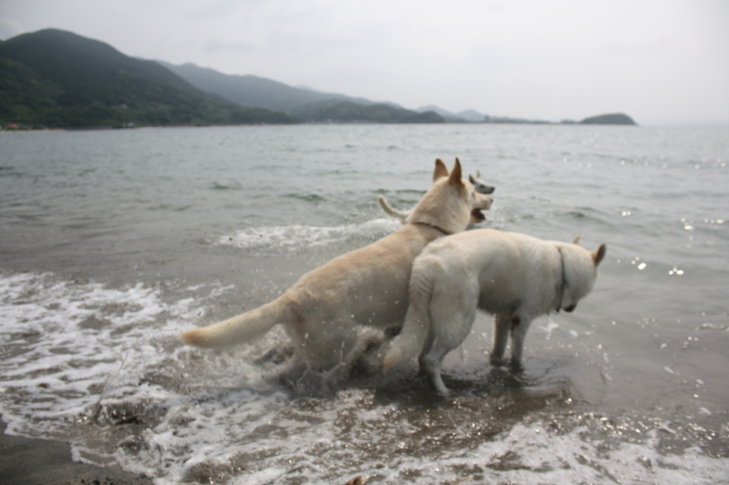 f:id:reeyan:20100619150951j:image f:id:reeyan:20100619150951j:image