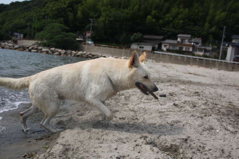 f:id:reeyan:20100619150955j:image f:id:reeyan:20100619150955j:image