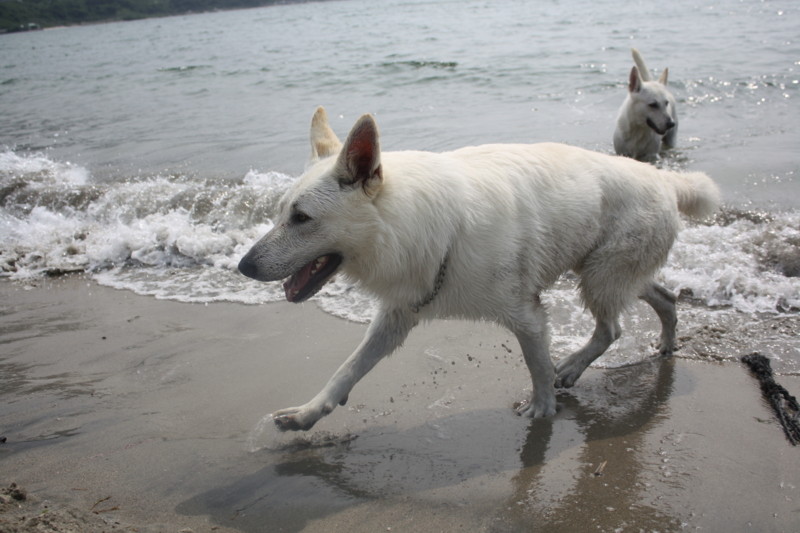 f:id:reeyan:20100619150957j:image f:id:reeyan:20100619150957j:image