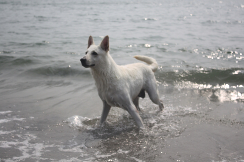 f:id:reeyan:20100619150959j:image f:id:reeyan:20100619150959j:image