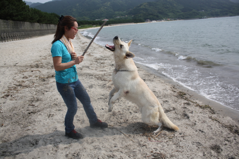 f:id:reeyan:20100619151014j:image f:id:reeyan:20100619151014j:image