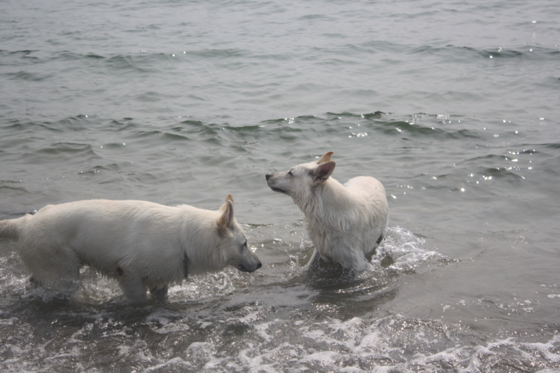 f:id:reeyan:20100619151019j:image f:id:reeyan:20100619151019j:image