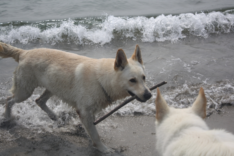 f:id:reeyan:20100619151023j:image f:id:reeyan:20100619151023j:image