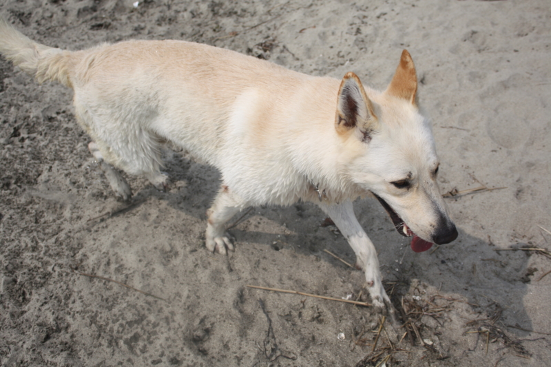 f:id:reeyan:20100619151030j:image f:id:reeyan:20100619151030j:image
