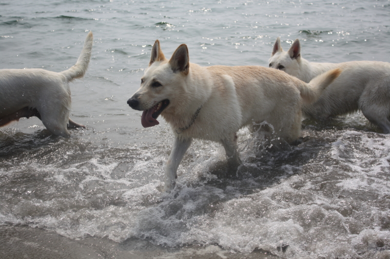 f:id:reeyan:20100619151101j:image f:id:reeyan:20100619151101j:image