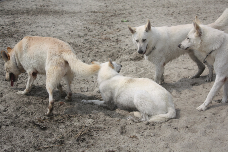 f:id:reeyan:20100619151112j:image f:id:reeyan:20100619151112j:image
