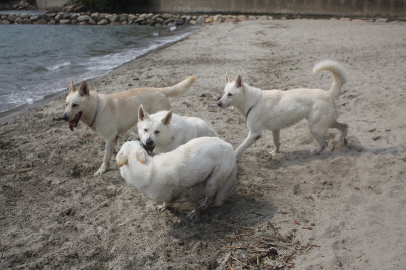 f:id:reeyan:20100619151114j:image f:id:reeyan:20100619151114j:image