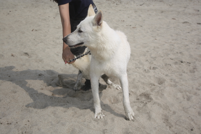 f:id:reeyan:20100619151124j:image f:id:reeyan:20100619151124j:image