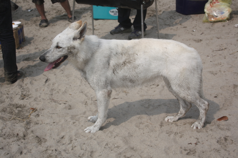 f:id:reeyan:20100619151134j:image f:id:reeyan:20100619151134j:image
