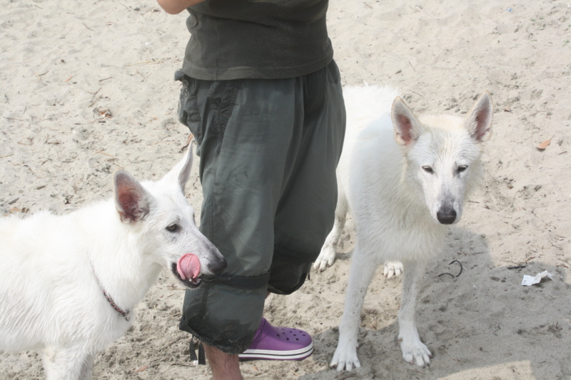f:id:reeyan:20100619151146j:image f:id:reeyan:20100619151146j:image