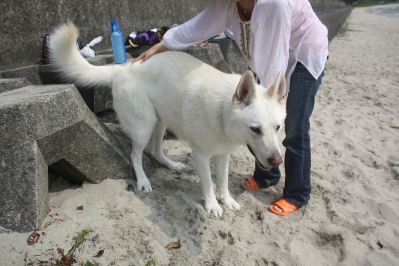 f:id:reeyan:20100619151239j:image