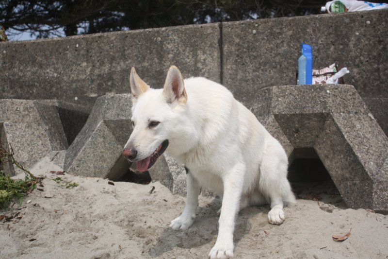 f:id:reeyan:20100619151353j:image