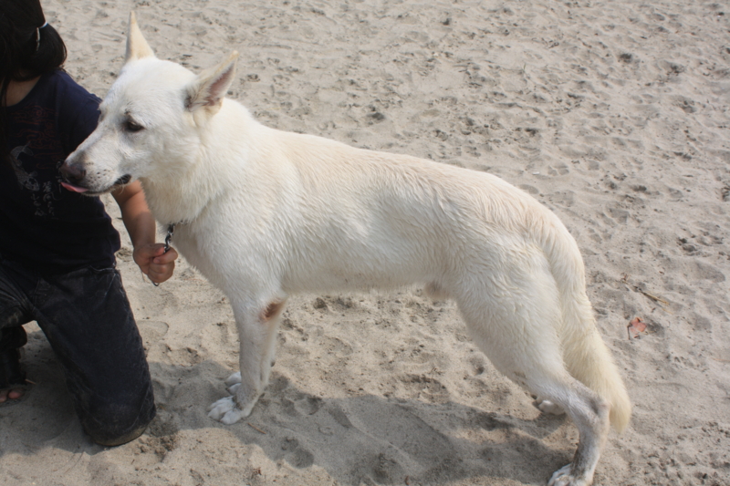 f:id:reeyan:20100619151608j:image