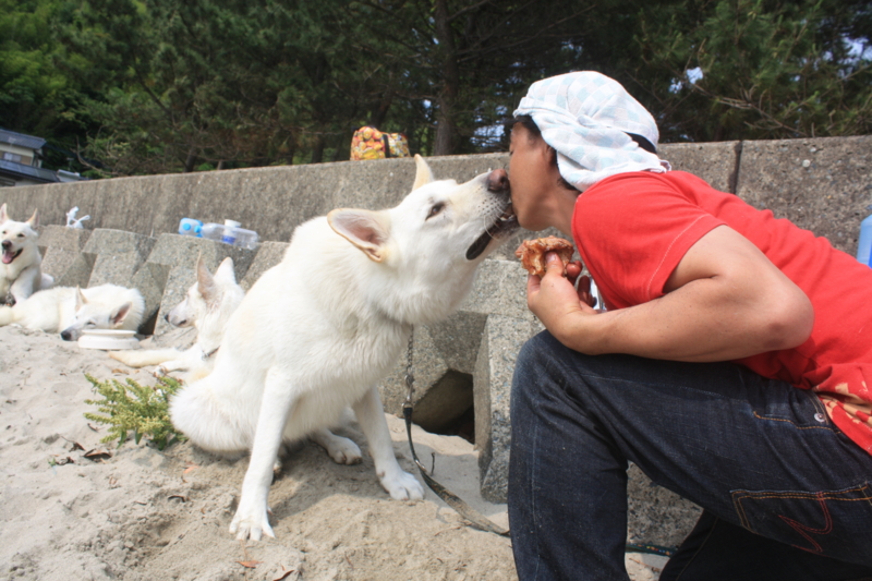 f:id:reeyan:20100619152228j:image