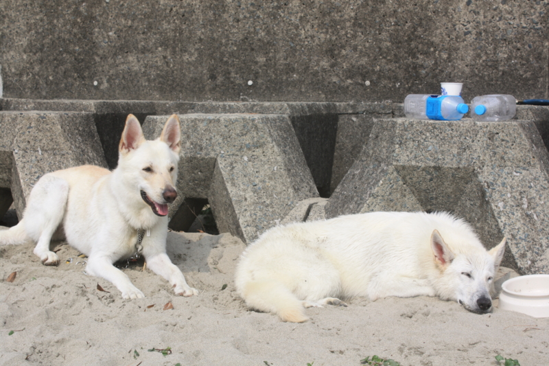 f:id:reeyan:20100619152445j:image