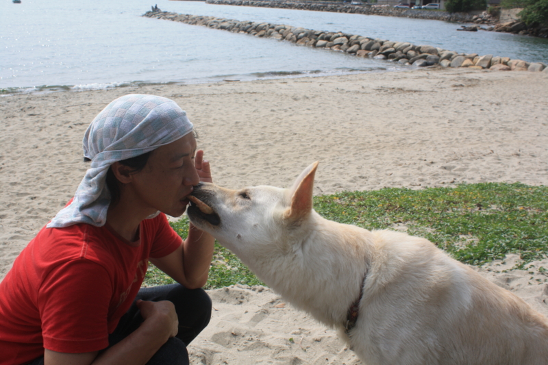 f:id:reeyan:20100619152742j:image