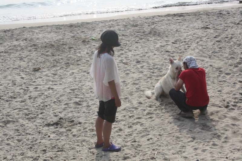 f:id:reeyan:20100619165747j:image