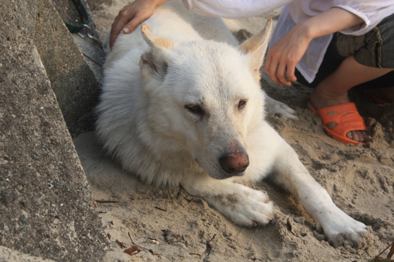 f:id:reeyan:20100619180418j:image