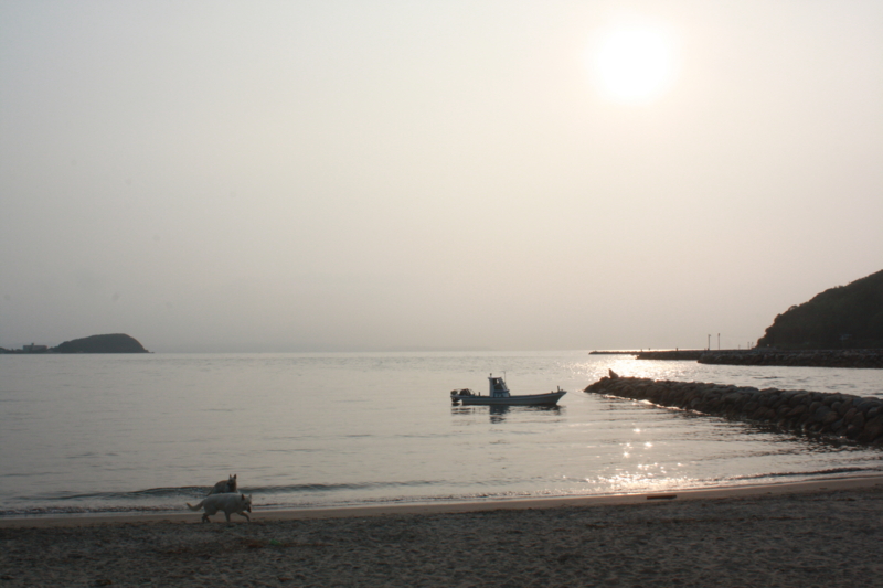 f:id:reeyan:20100619180951j:image